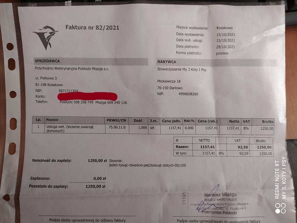 d1de1b90e8cfa529.jpeg