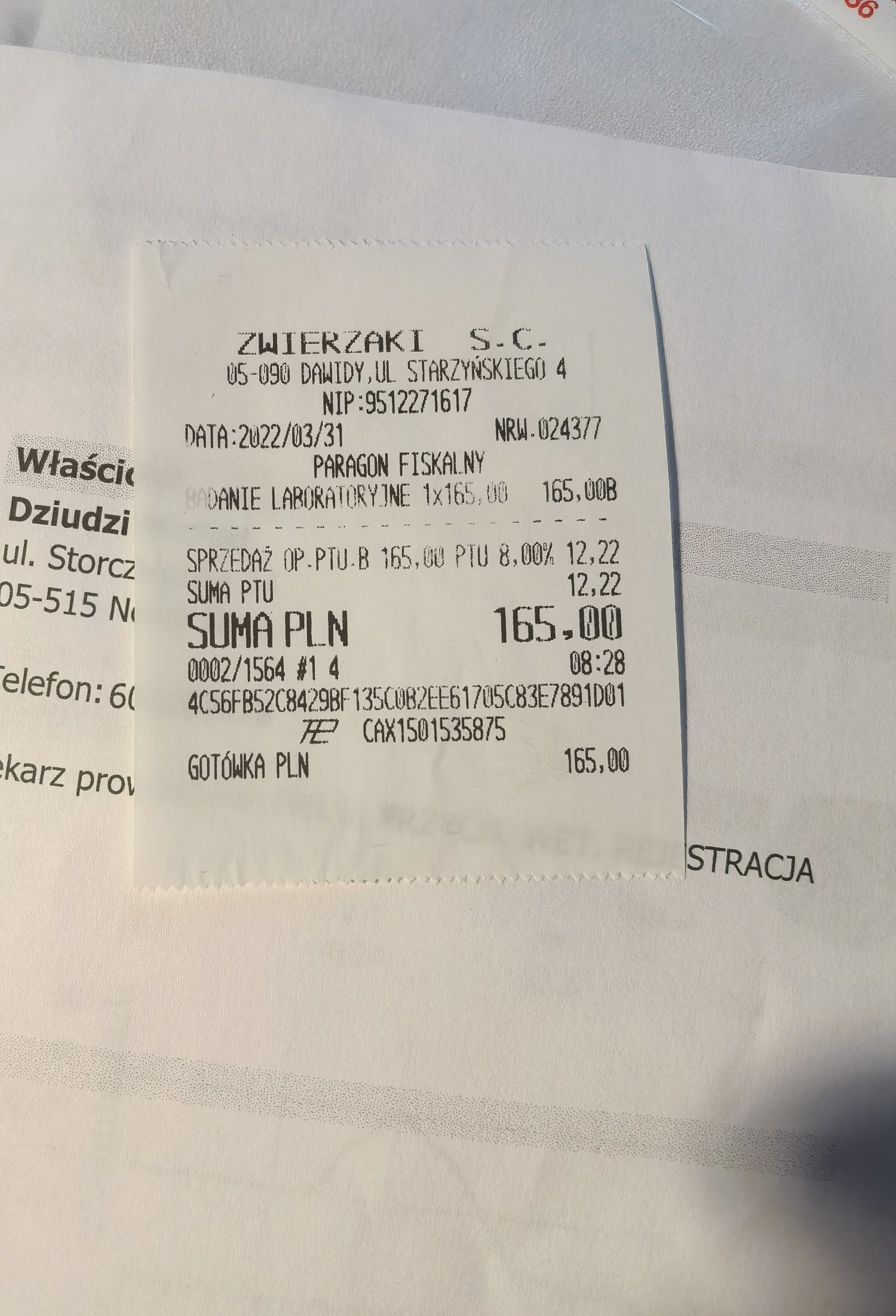 n152953328ce23b8.jpeg