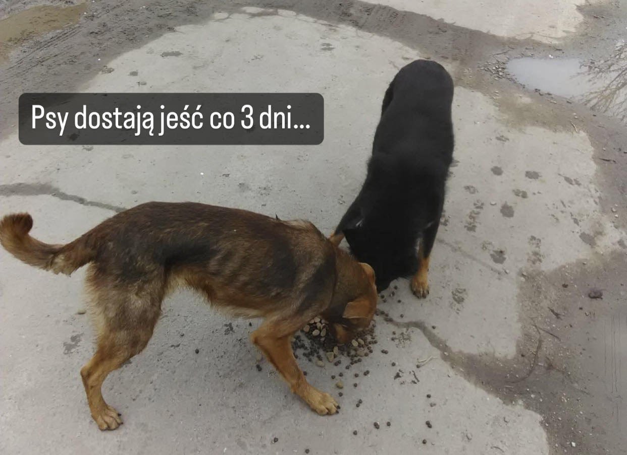 HpWzaeAONFv7CLq9.jpg