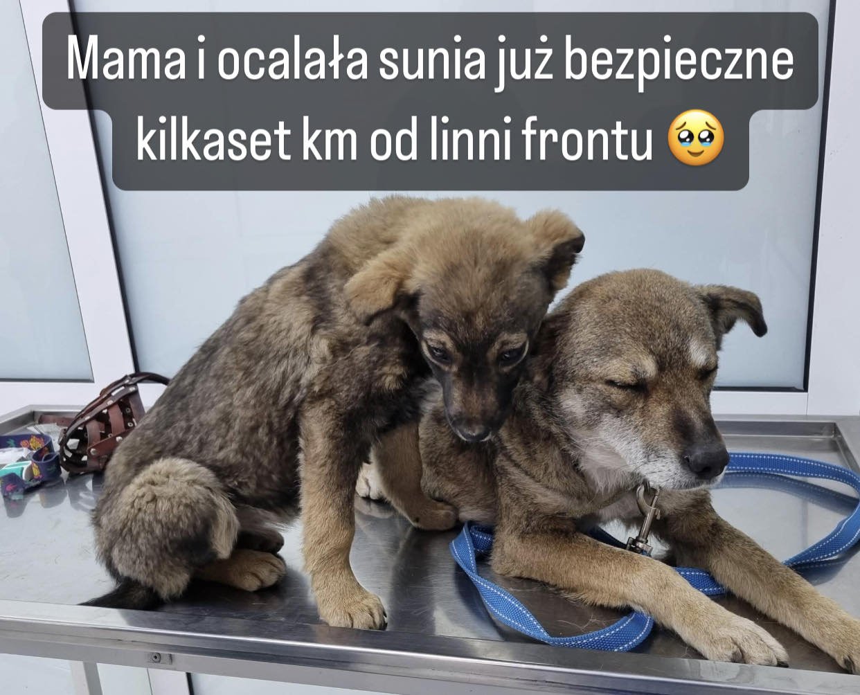 gmoCKgNx2JyaCq4o.jpg