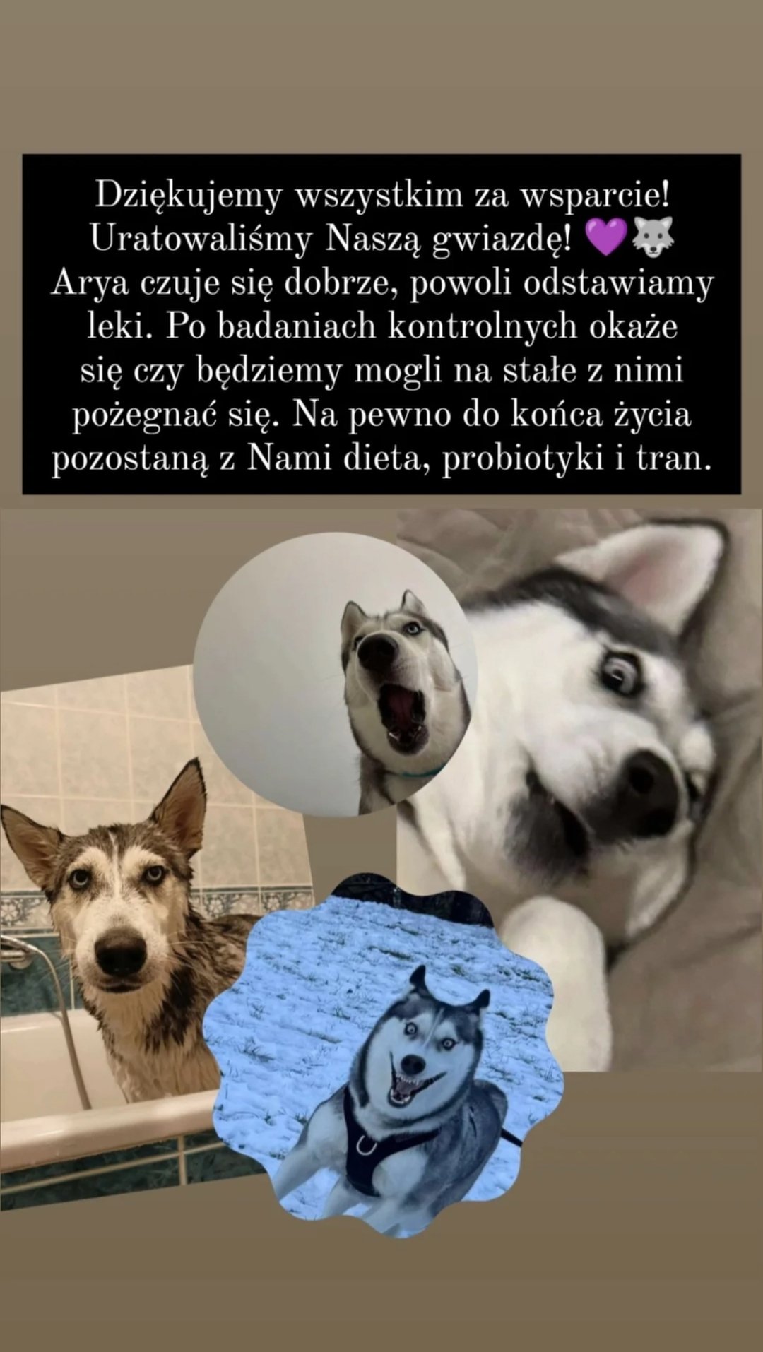 wc6pbXzvFBfJdWHN.jpg