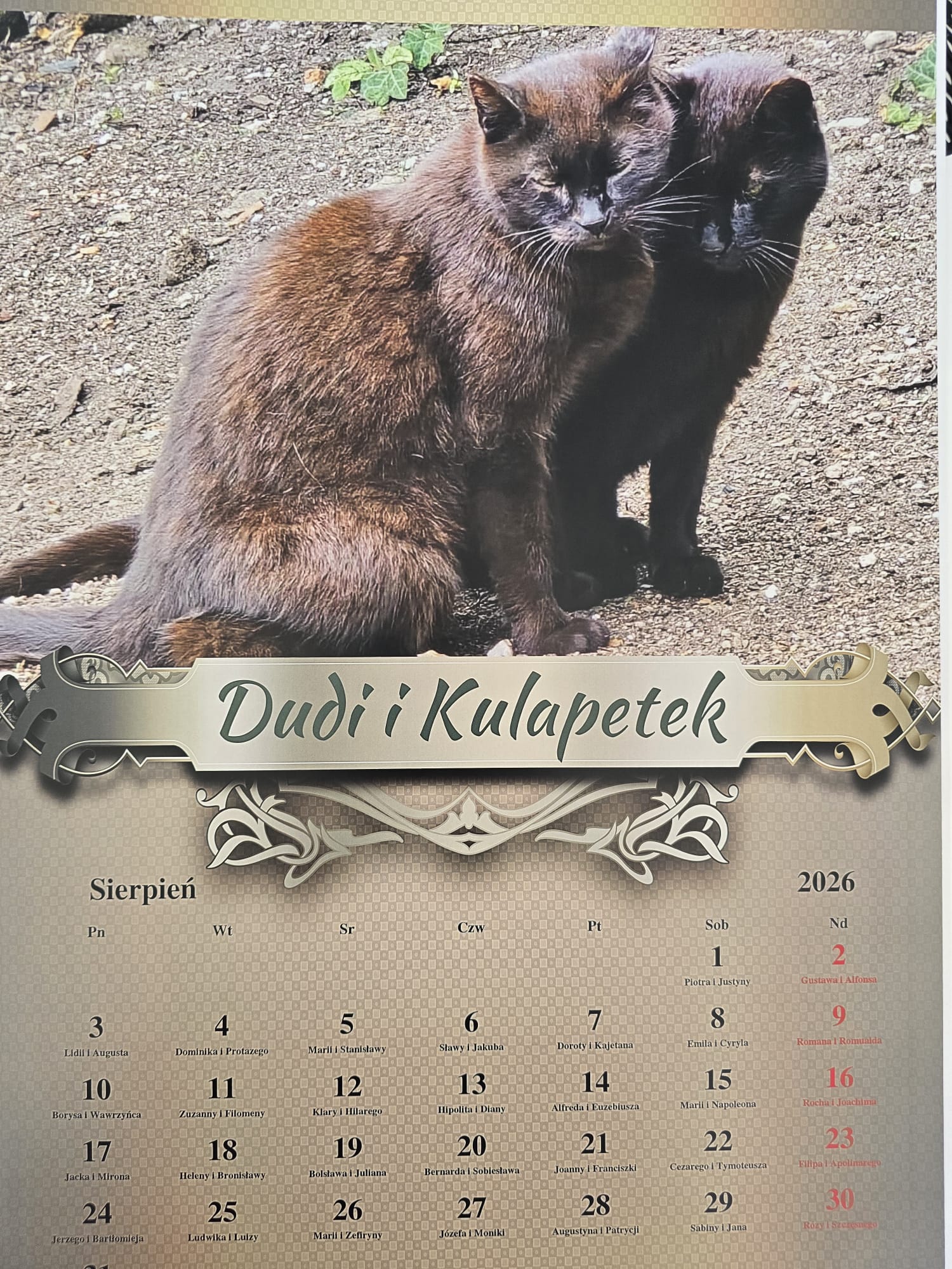 auzdB0IkKlSJd0cR.jpg