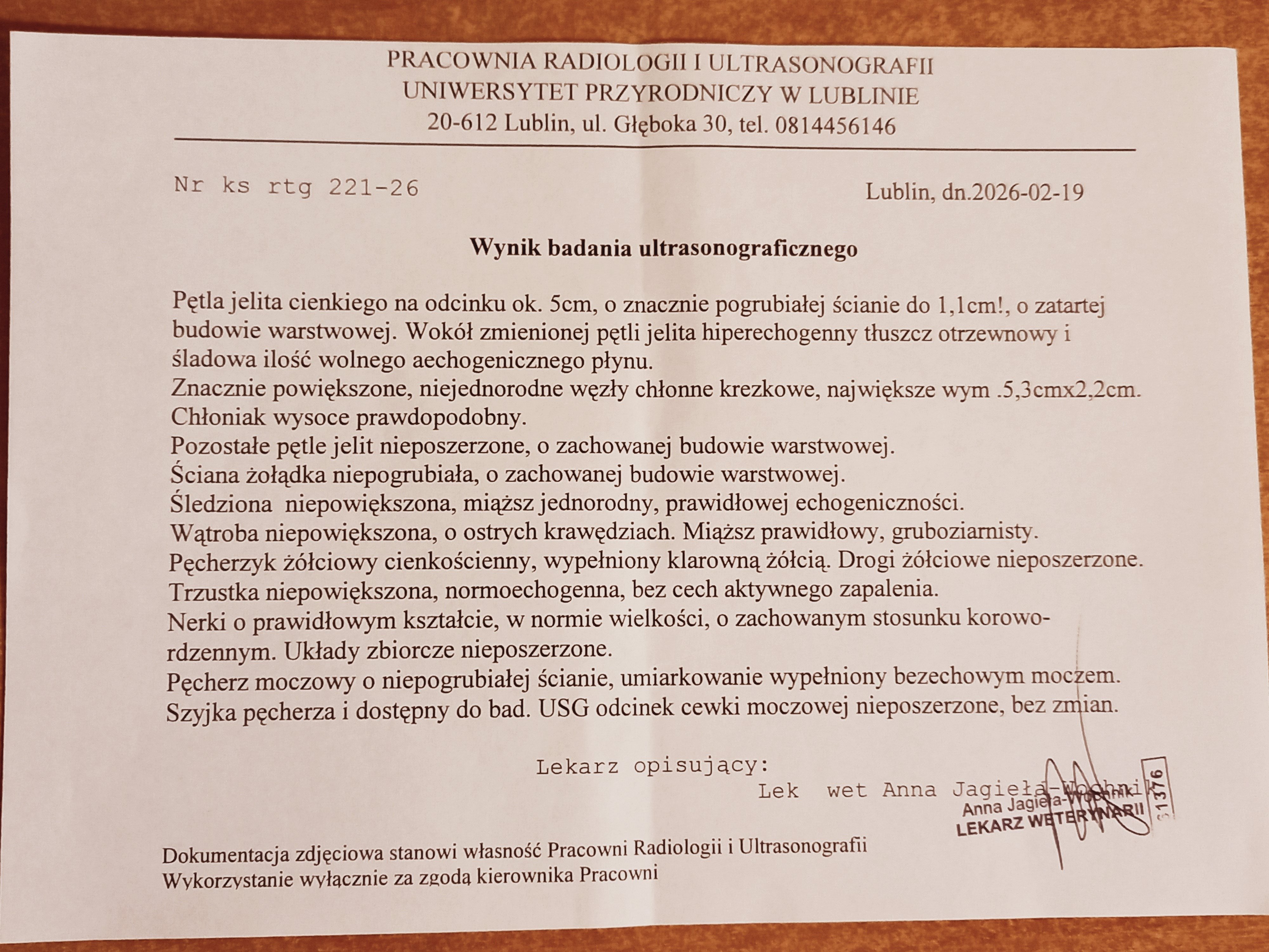 joBkAQCUzhX7N4ed.jpg