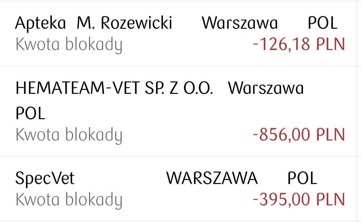 bZTqrW13k9vmplgR.jpg