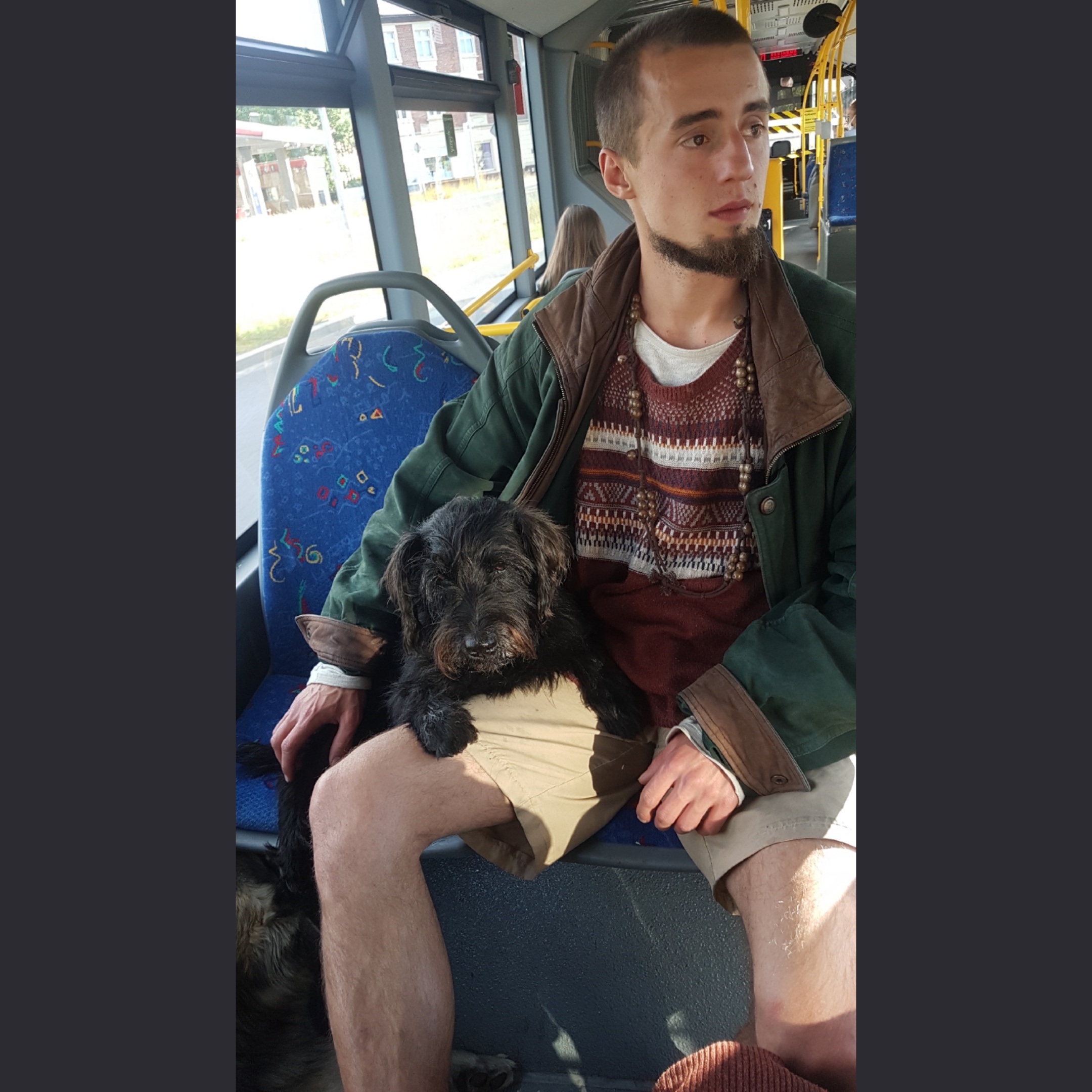 w04d133c2bfe1985.jpeg