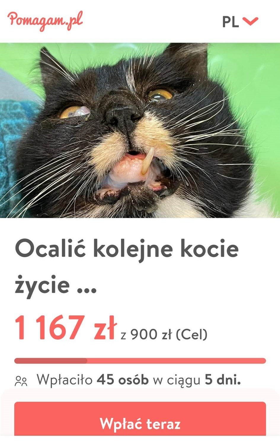 XDXqIYXOY6IXtKnc.jpg