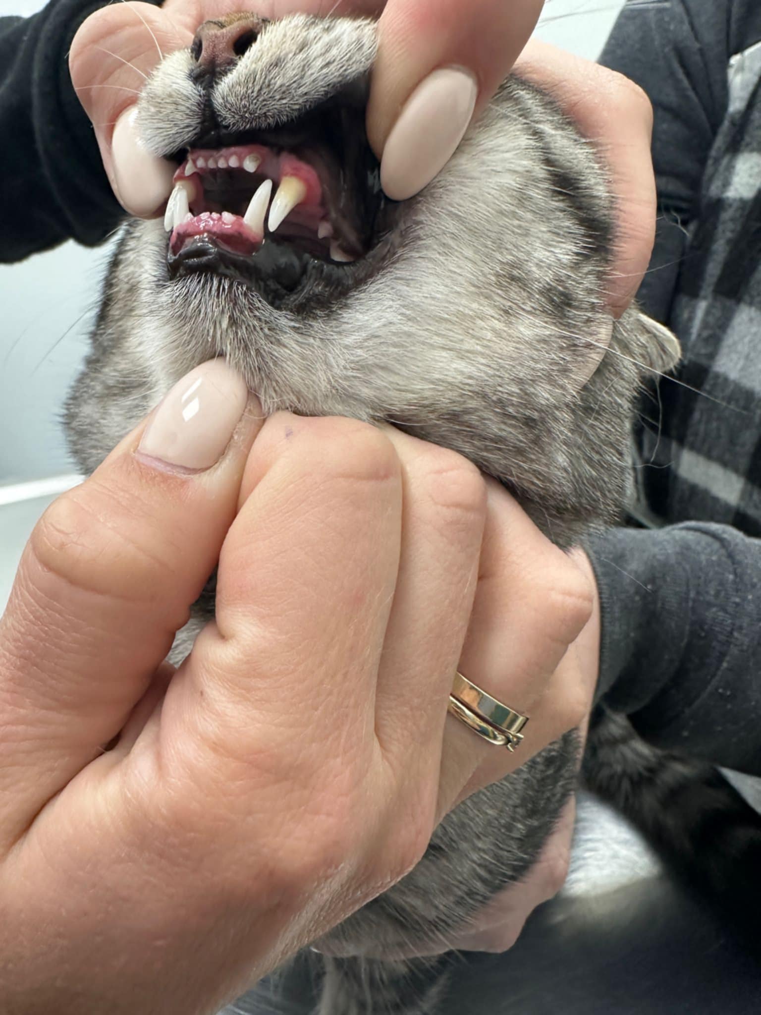 wuZxYbUPEQtlsq9v.jpg