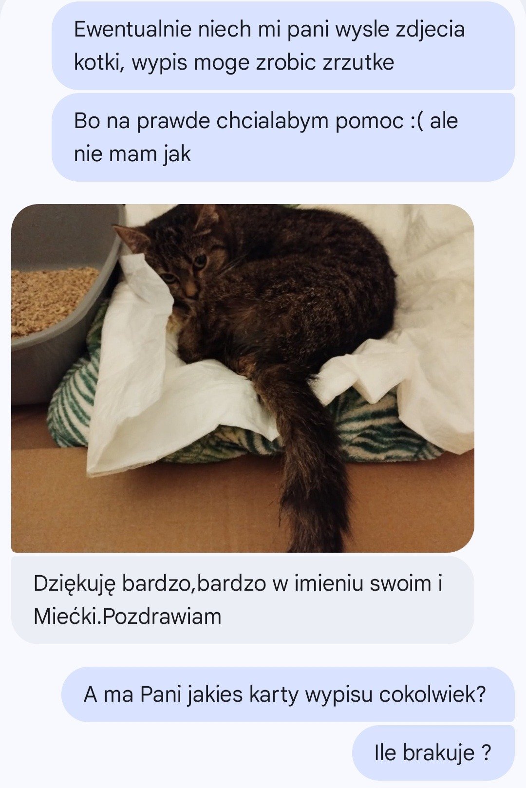 WZPwFelzUkkWeQwJ.jpg
