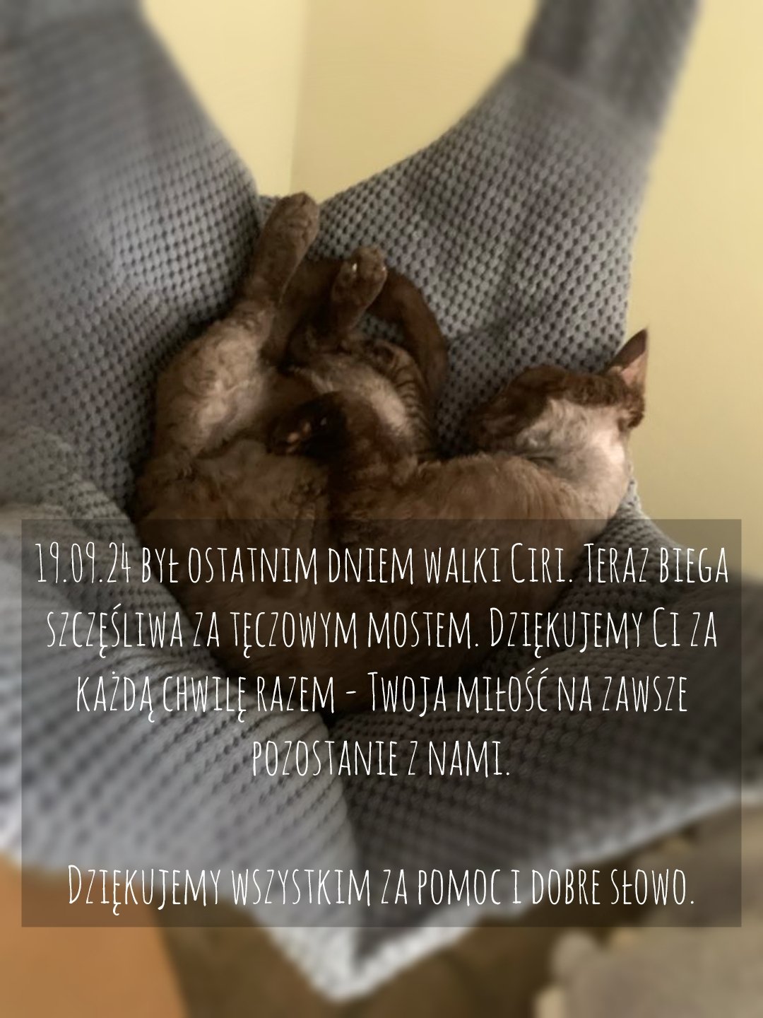 g1B39iz5aS8Yi0So.jpg