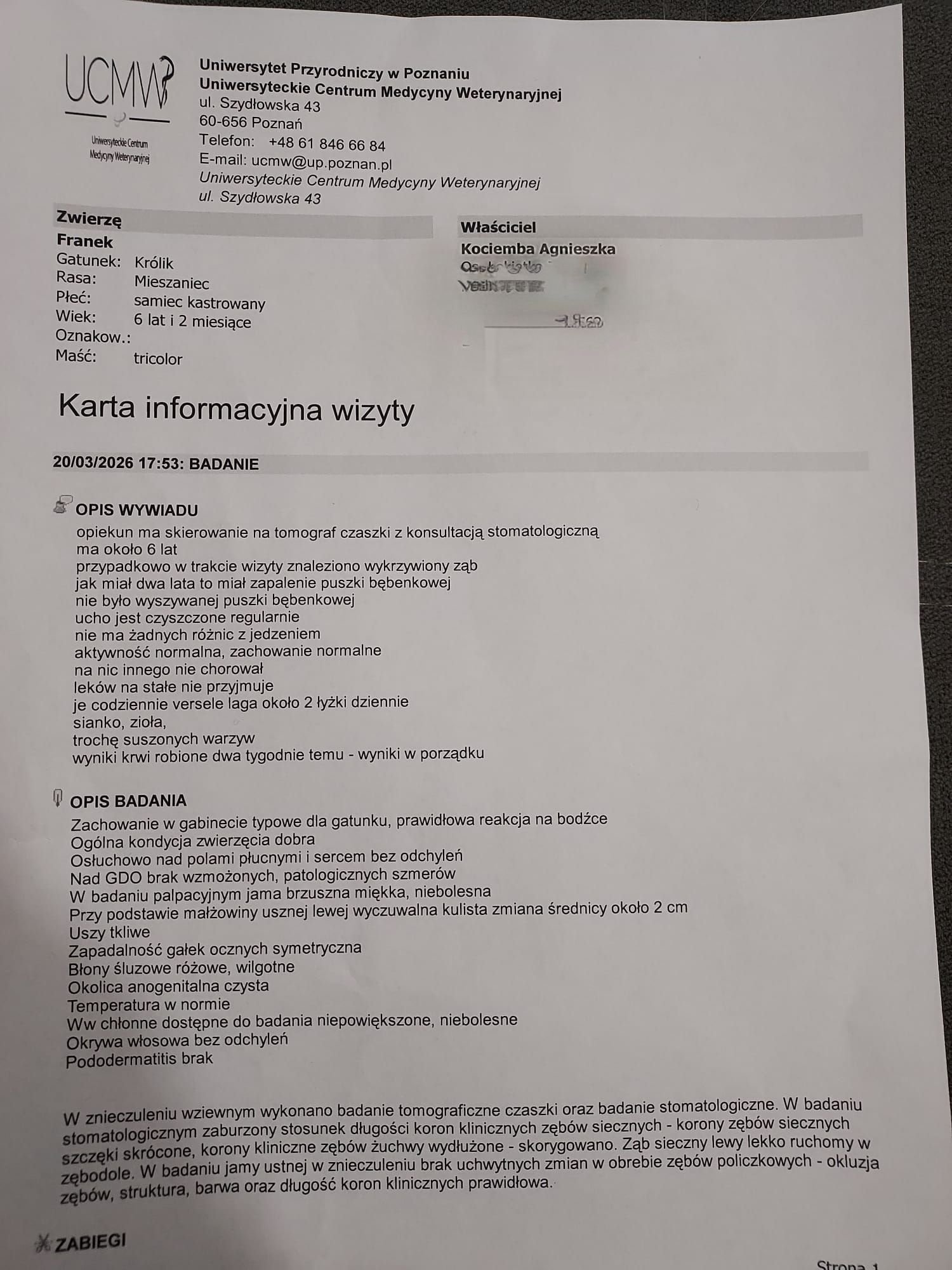 vvkIok6vGiojzFbg.jpg