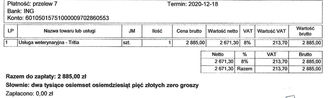 pca6cb80f997ebed.jpeg