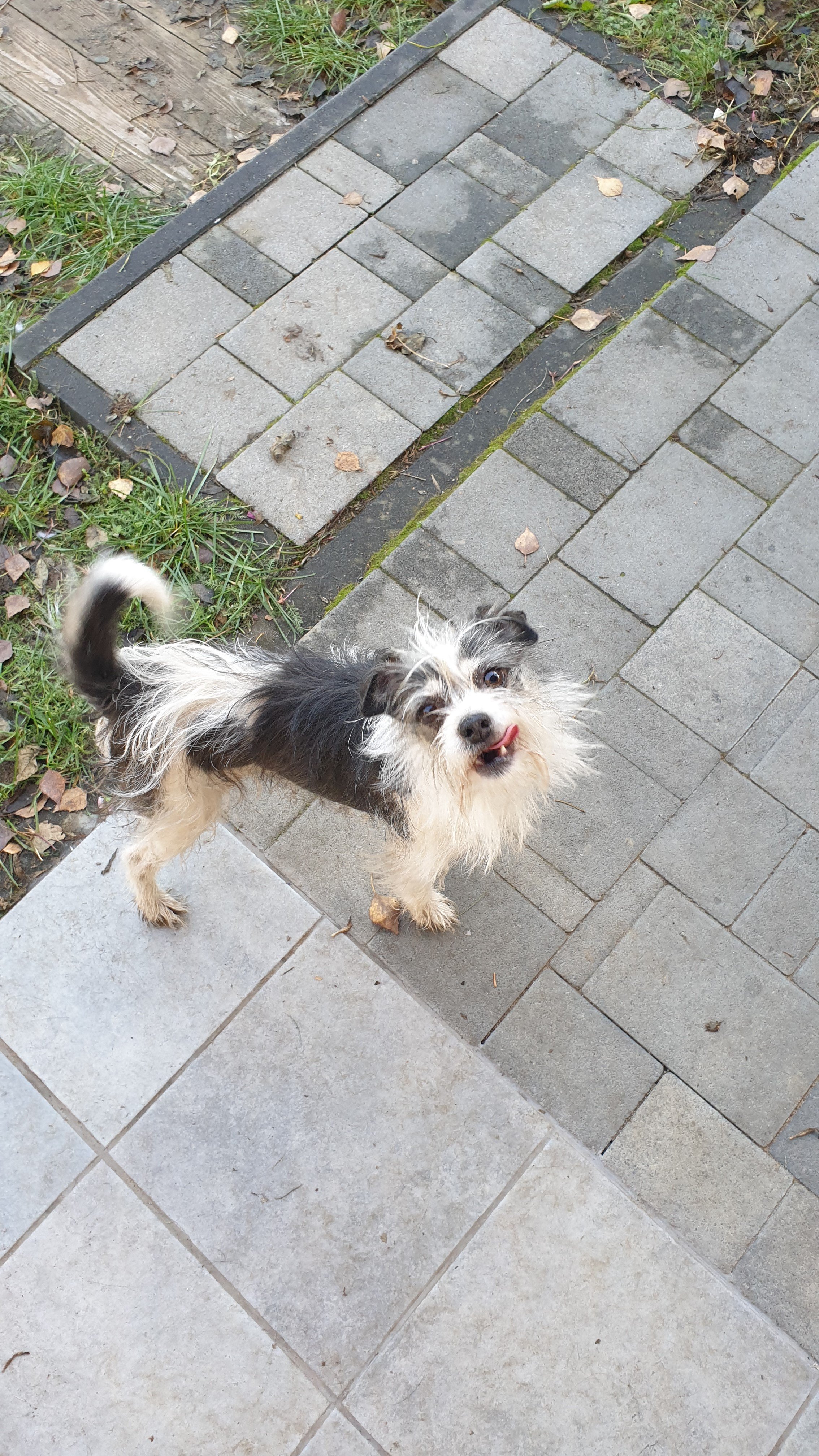 PibIiGPliJaX2JRT.jpg