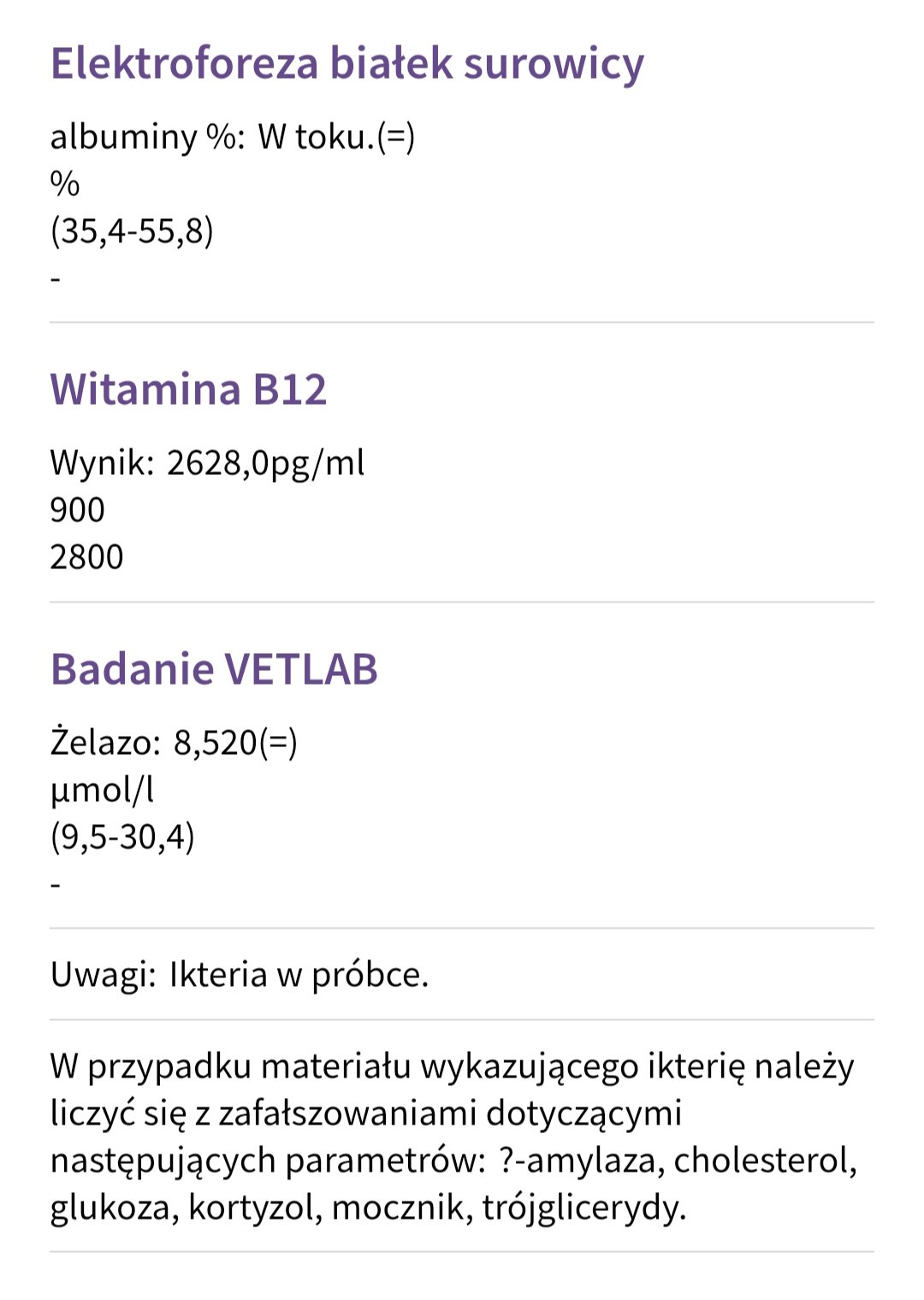 we41pUpXF6dEXSAm.jpg