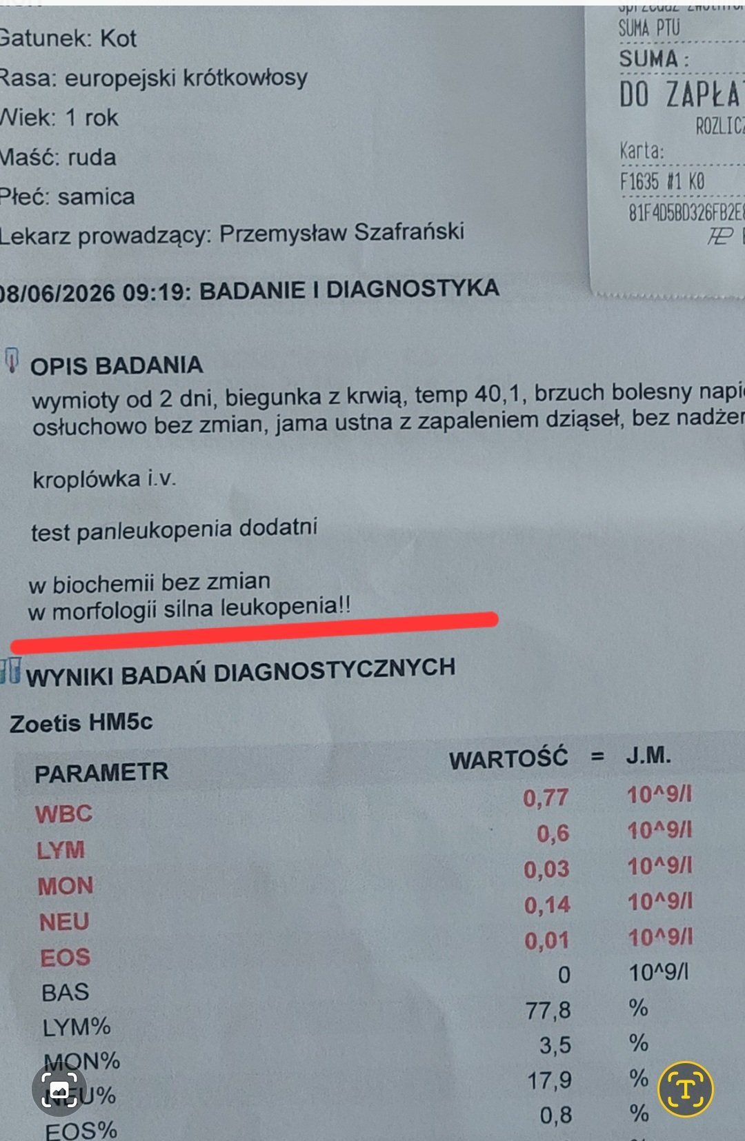 aNGT2l6CraHOYztC.jpg
