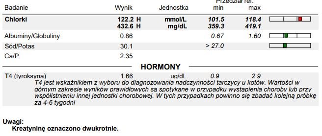 K8VEsP3oVmaGYz8n.jpg