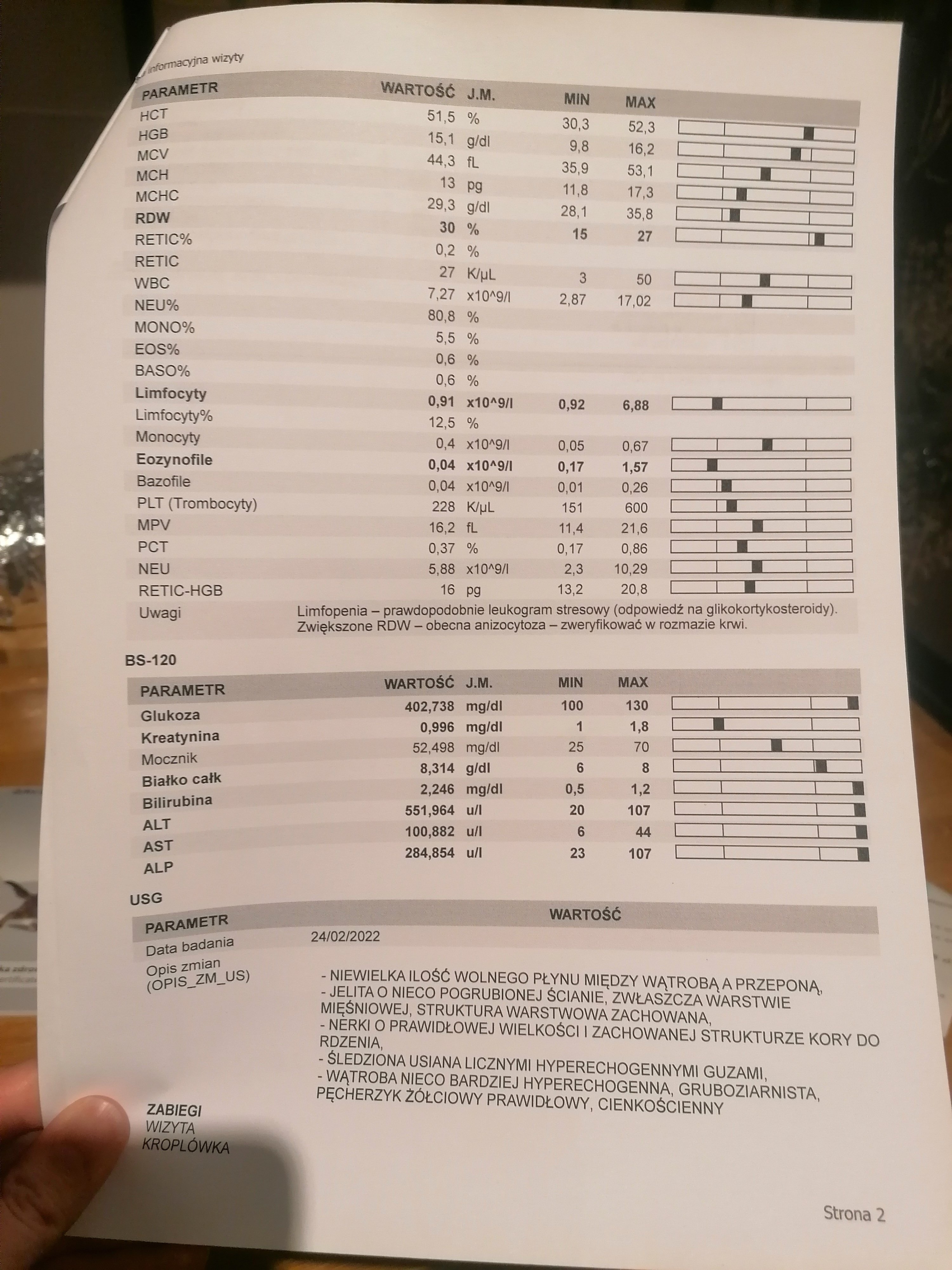 ebec2b50190721df.jpeg