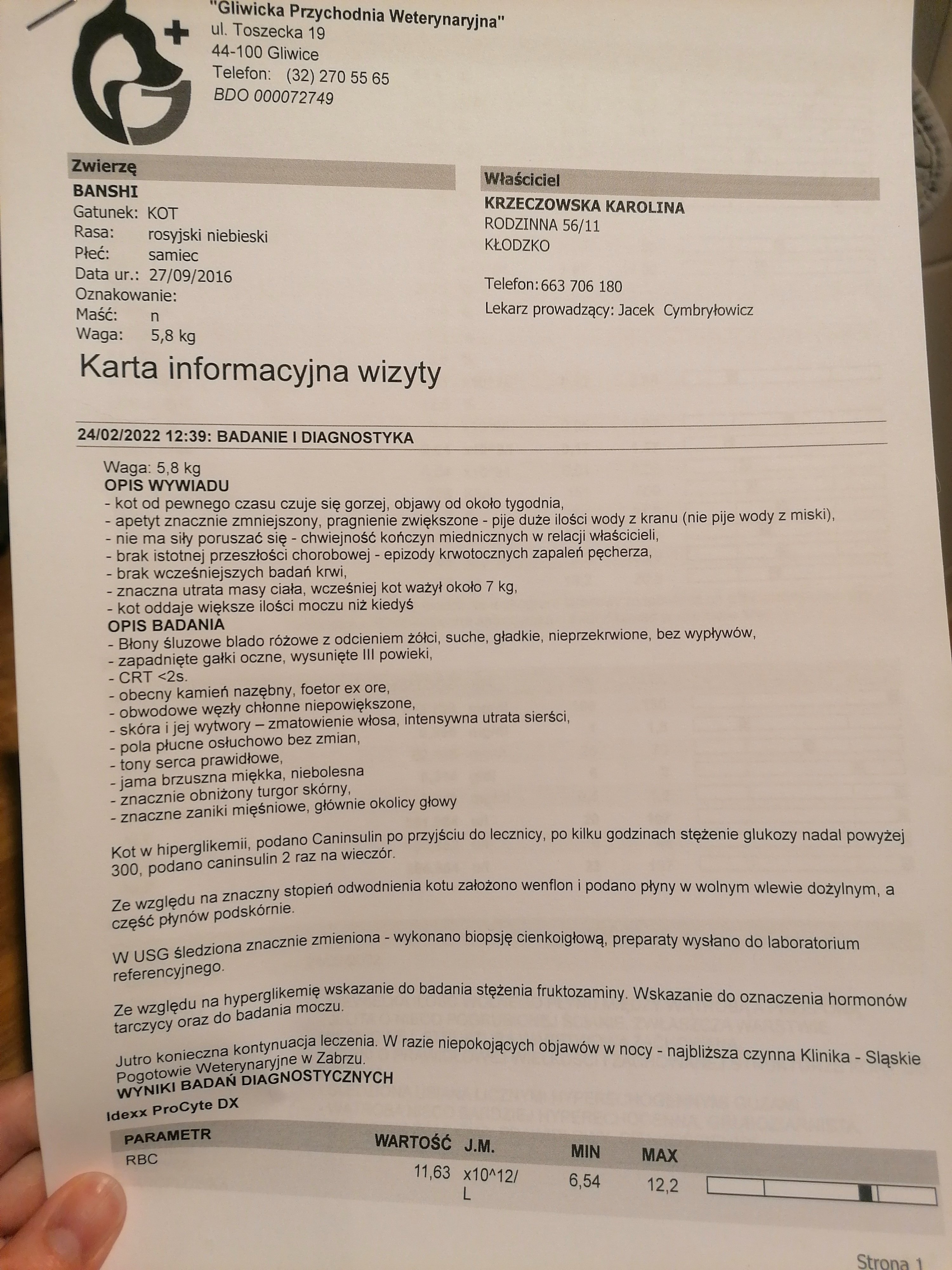 q539350dfca6a284.jpeg