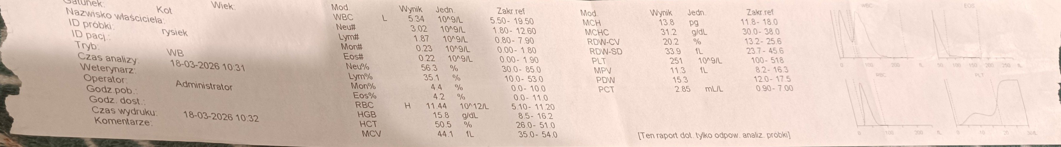 mwNmLiNZhyp6RAgI.jpg