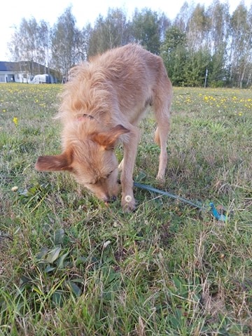 p3482fe957a95954.jpeg