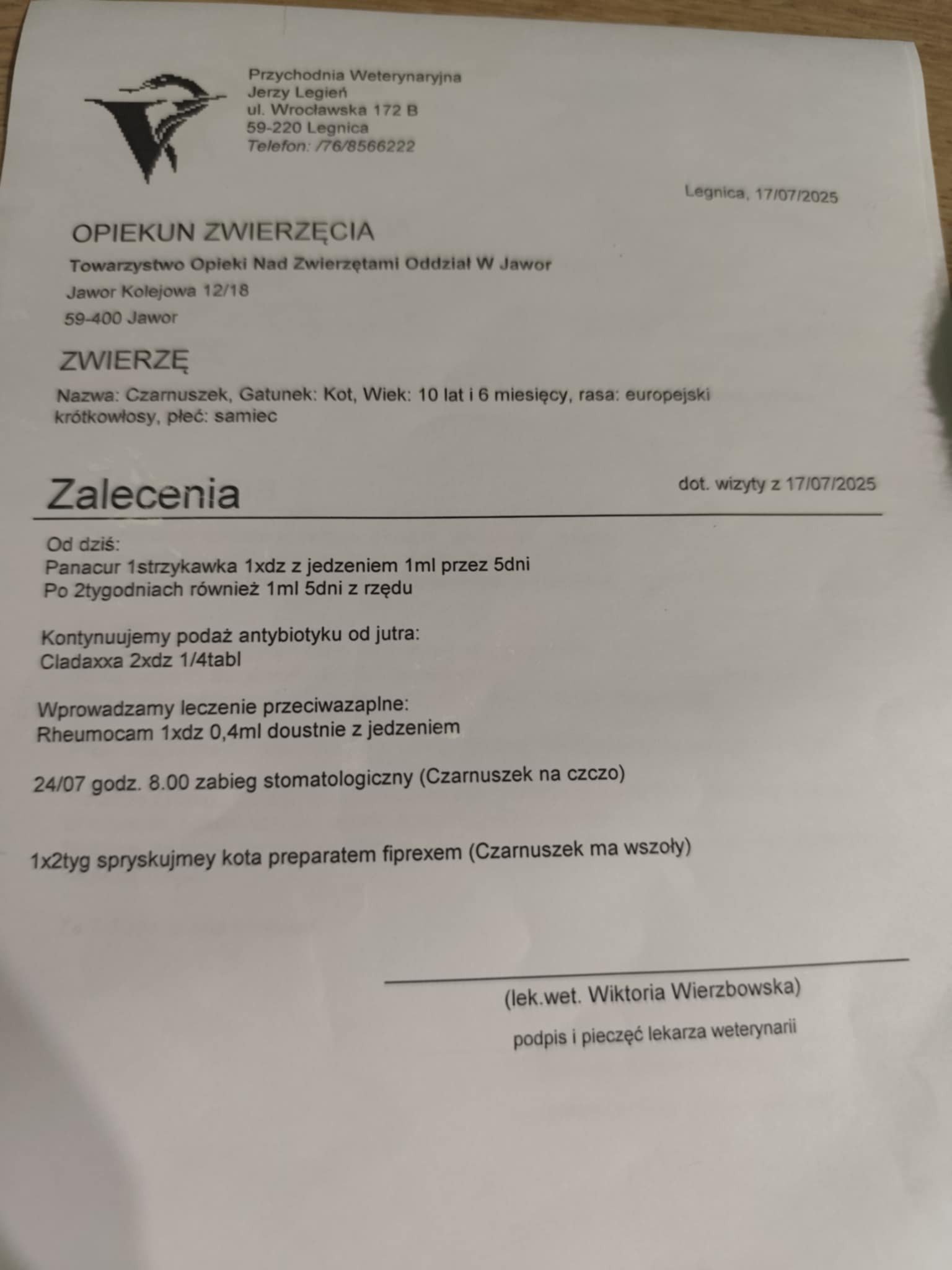 Z7E35PgCOLIag2Ff.jpg