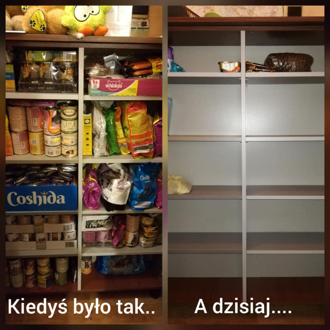 97p6rn-7e9b6a5d.png