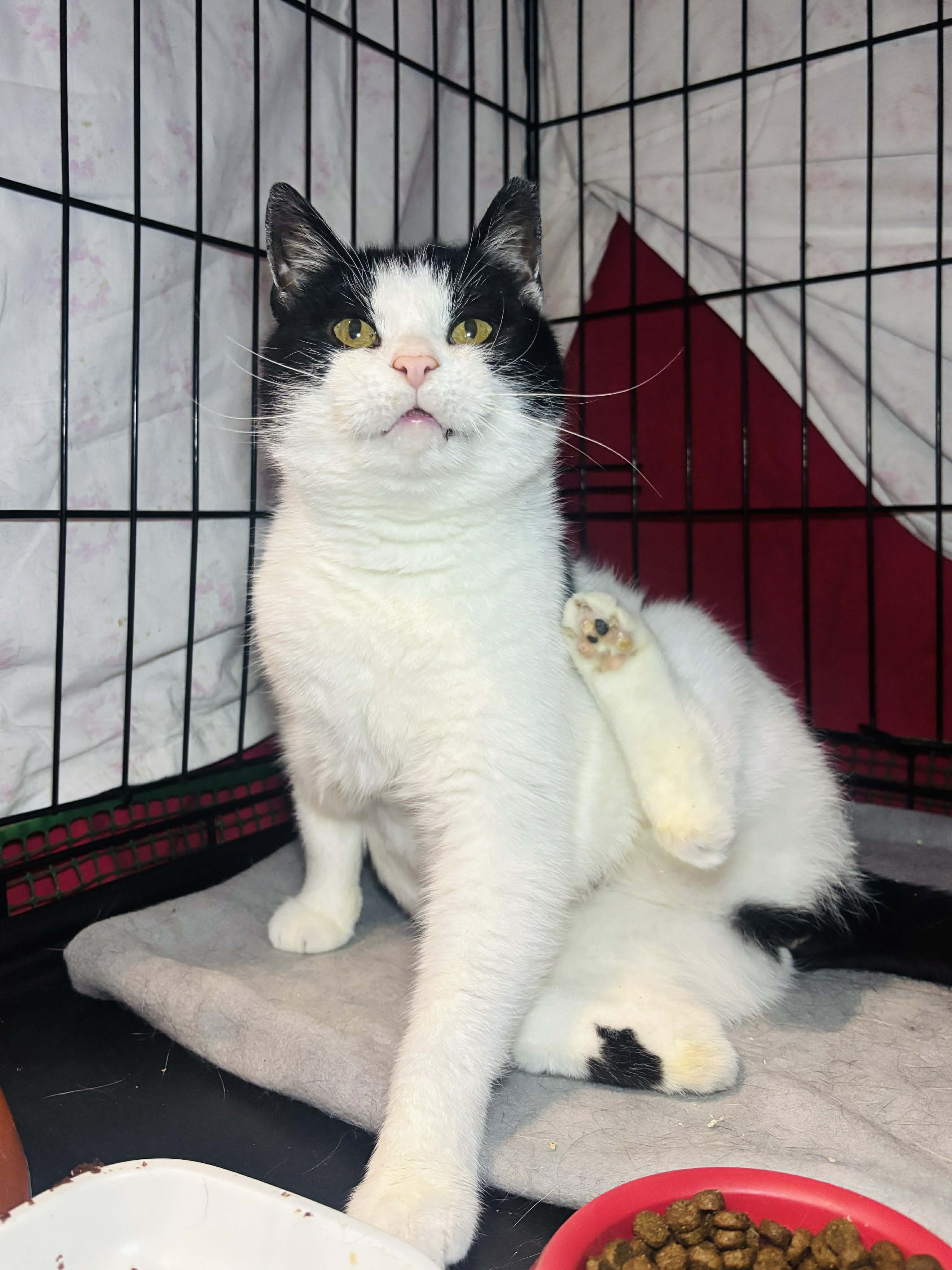 CYFqs6ncZlEyev8X.jpg