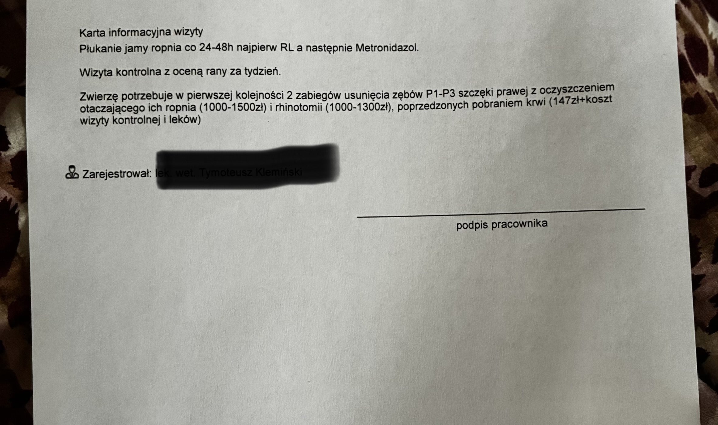O8MpIIVeZvqthZMS.jpg