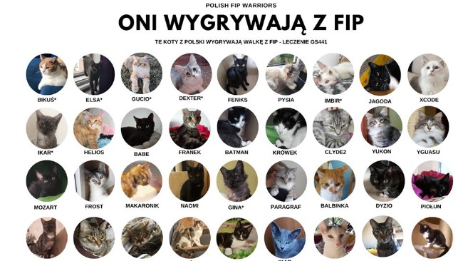 pe486a21e14cdf91.jpeg