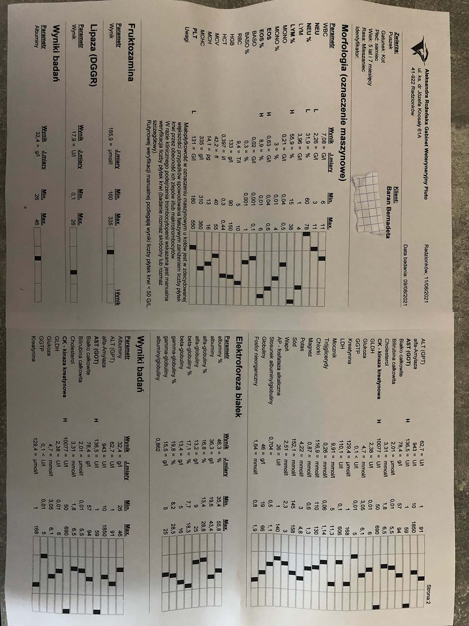 r5a05998fcfcc471.jpeg