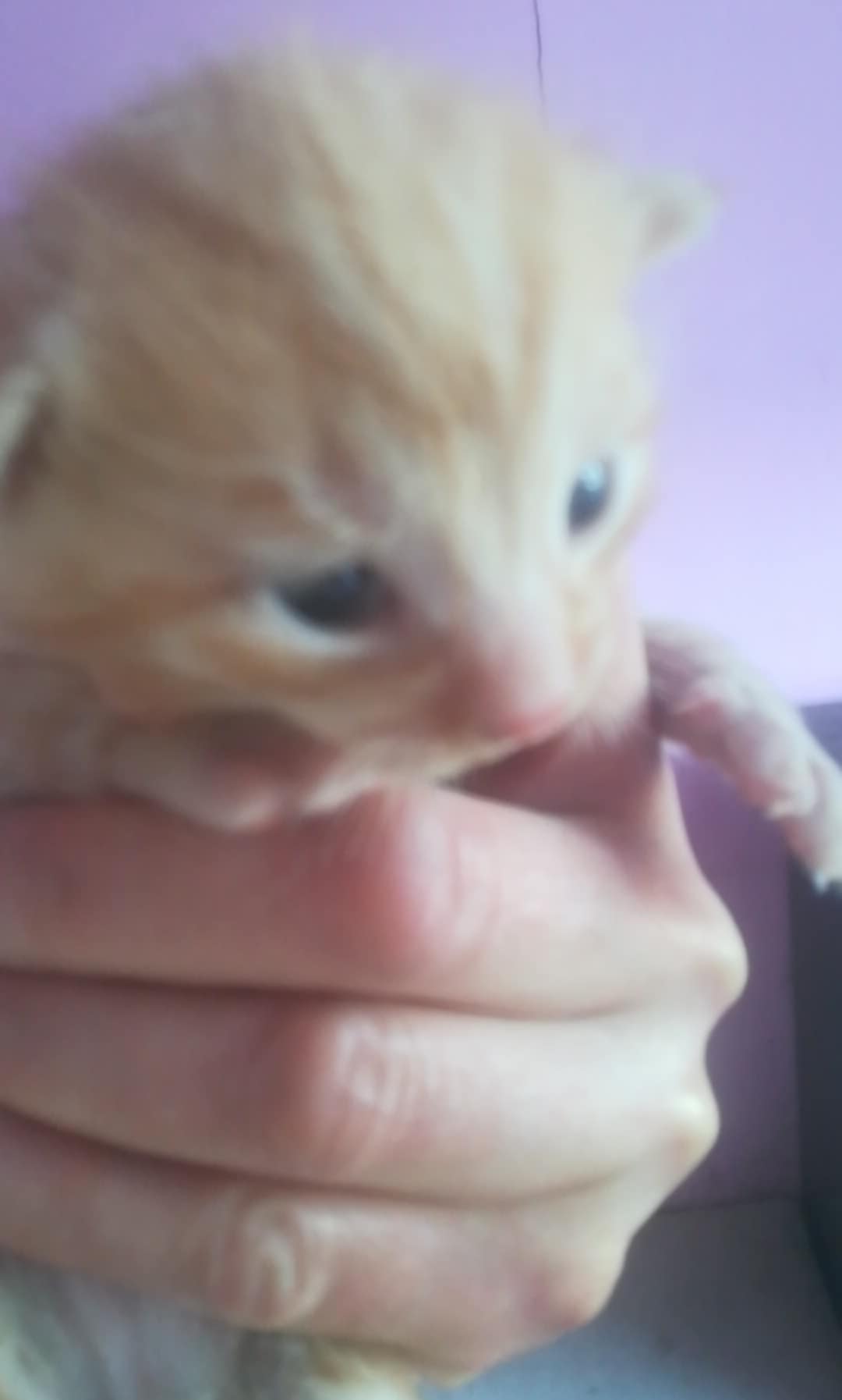 NEShHs9Qblsjm5iS.jpg