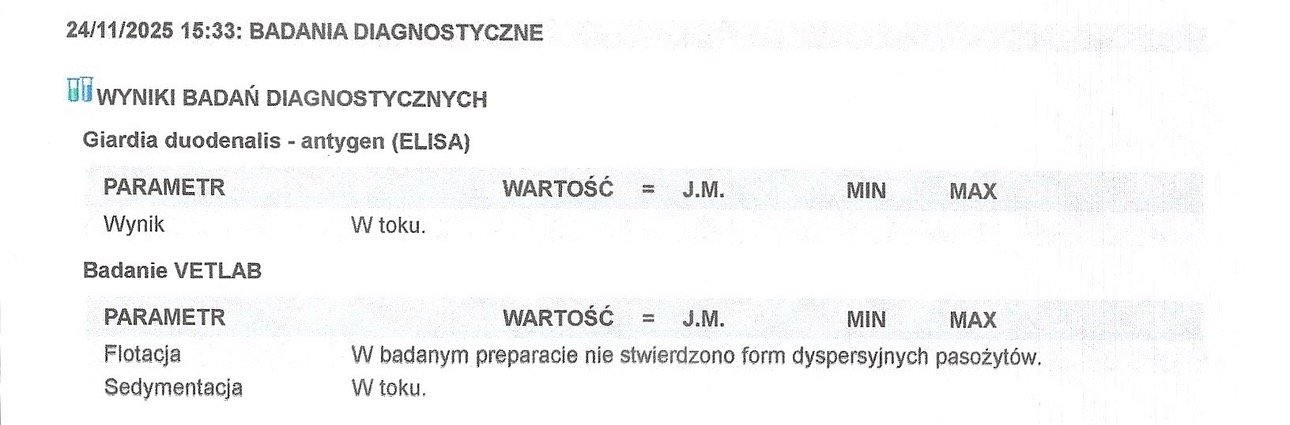 7P3WUmKNfMAGqekH.jpg