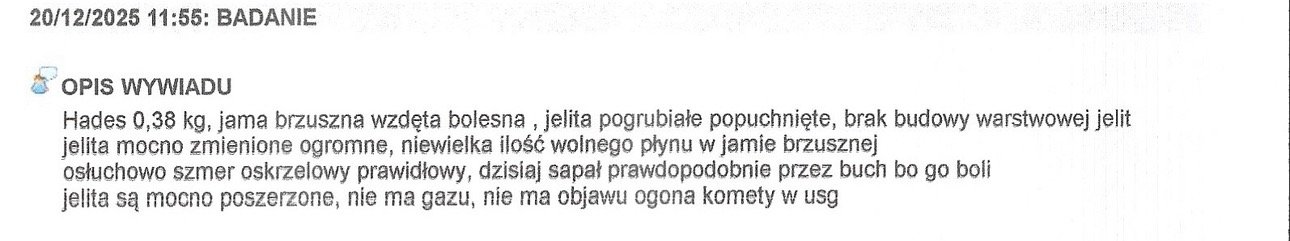 Jq8fS6FB9fzGn1Dq.jpg