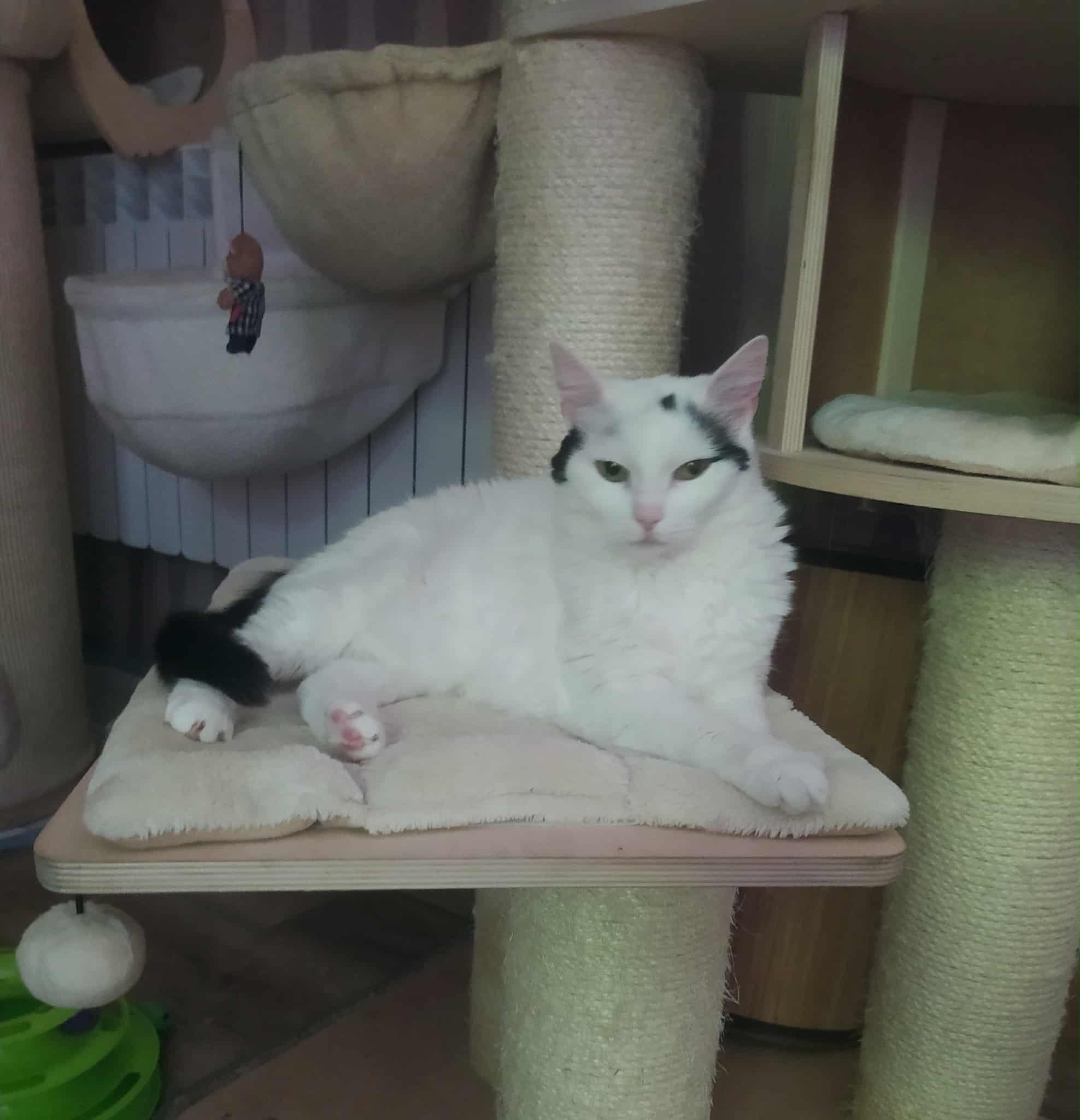 nqYK13iVfZmDpjKf.jpg