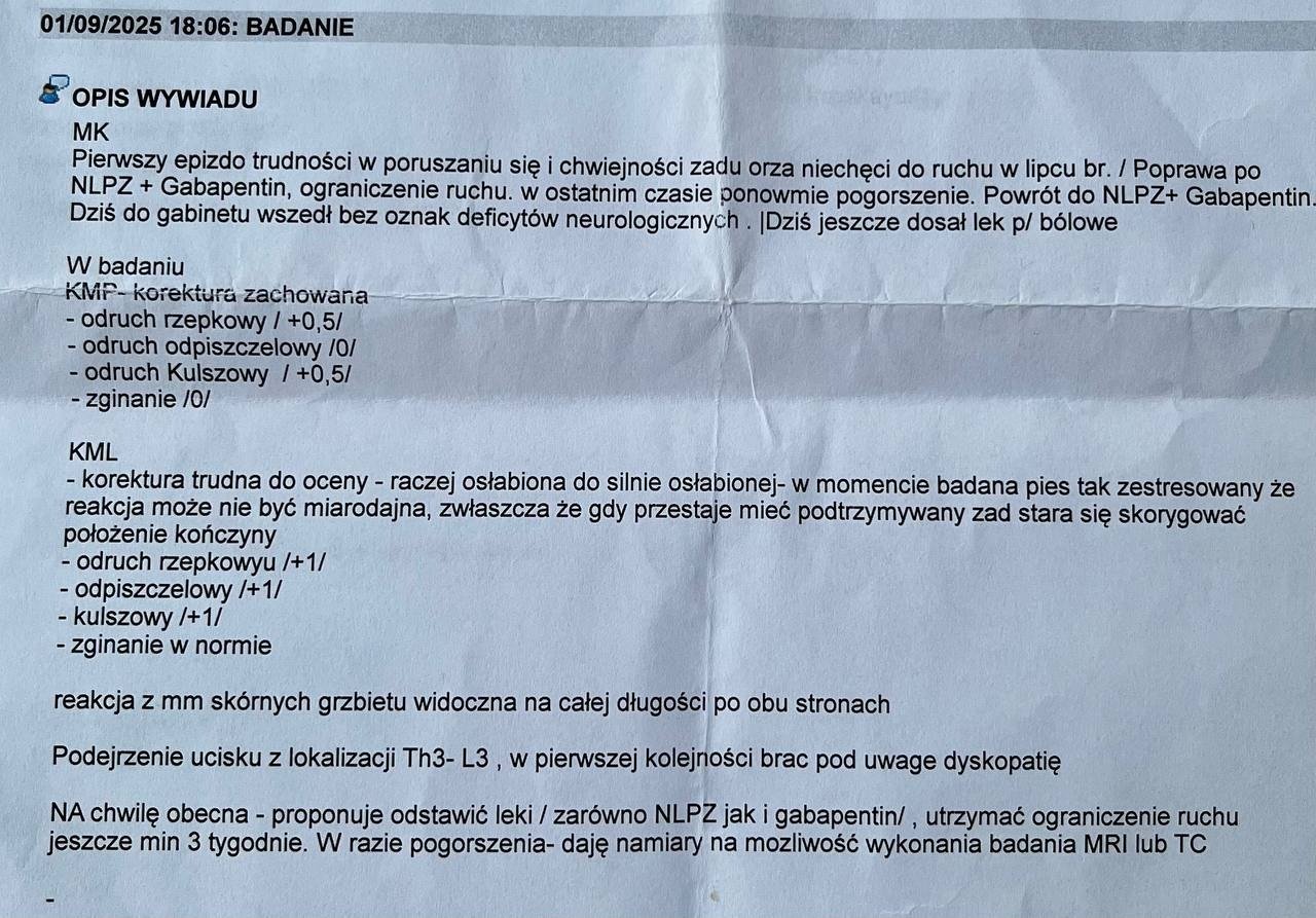 CdaLXarrNsF3JINE.jpg
