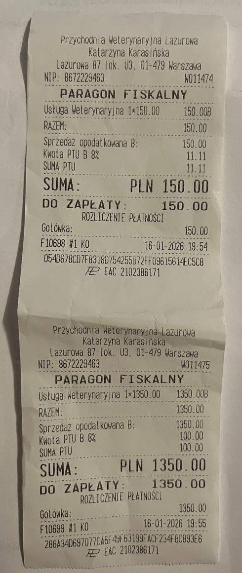TxhcZ4FDUV3KiekP.jpg