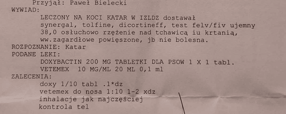MVv55EVhfii6Pdn1.png
