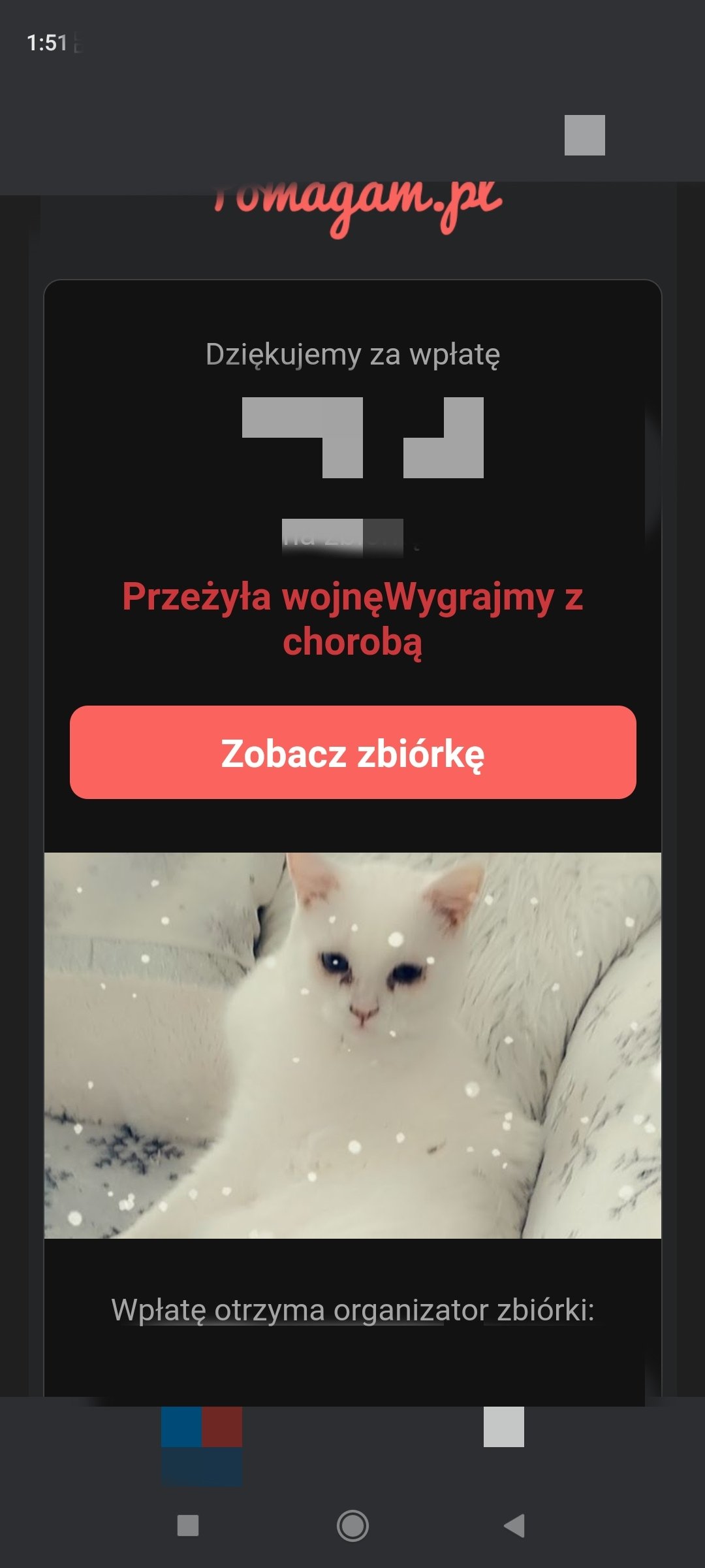 Op4z5Og1GypMXsQQ.jpg
