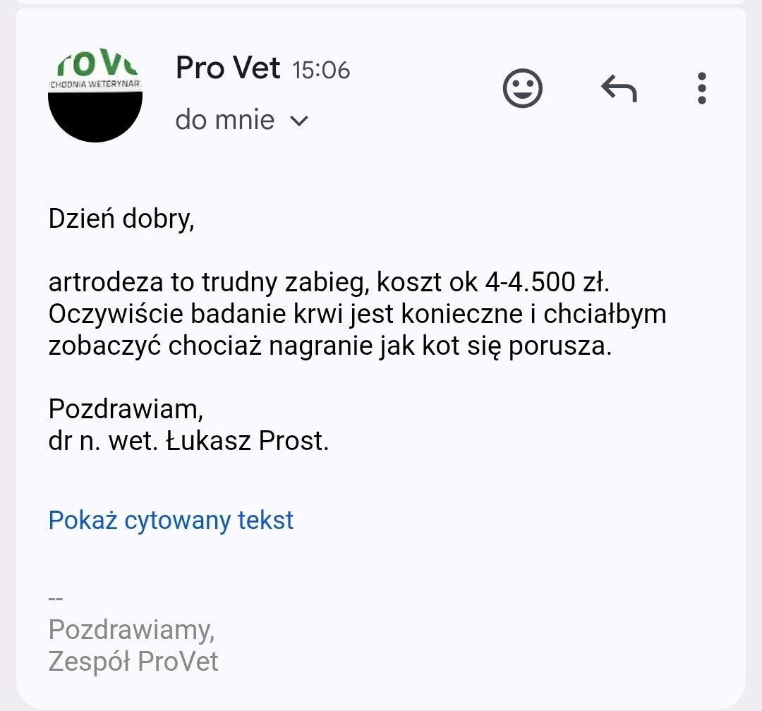 Q8Q539itY5V9jMbh.jpg