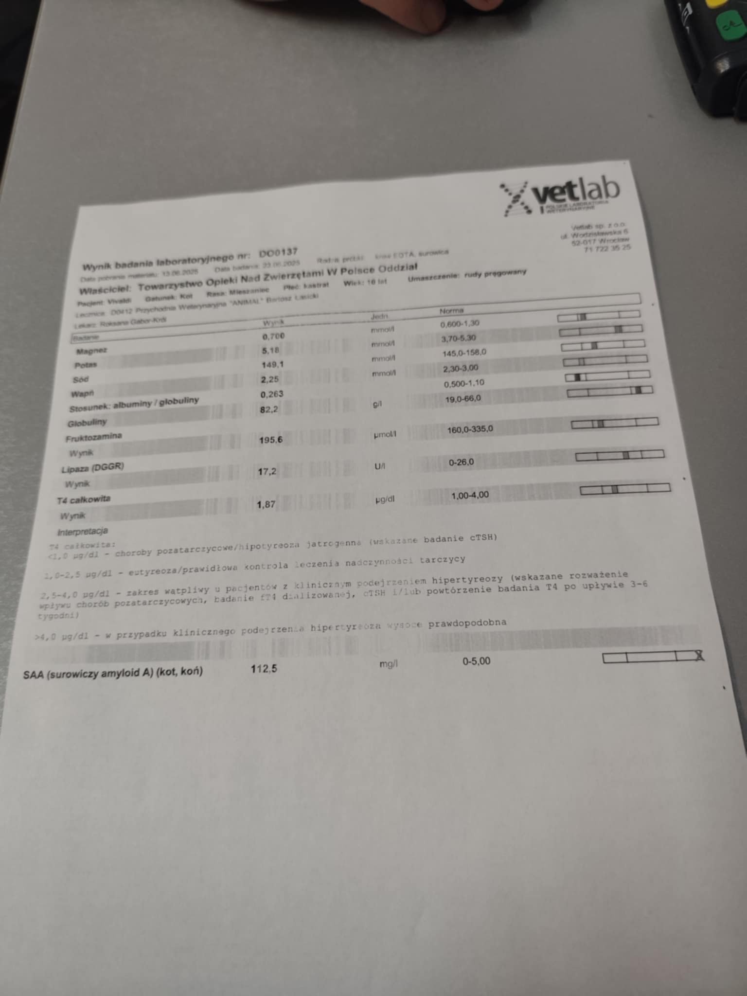 taPWWFp9GICmEZjt.jpg
