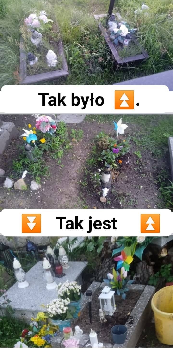 3qVHzznGfVj3eIp0.jpg