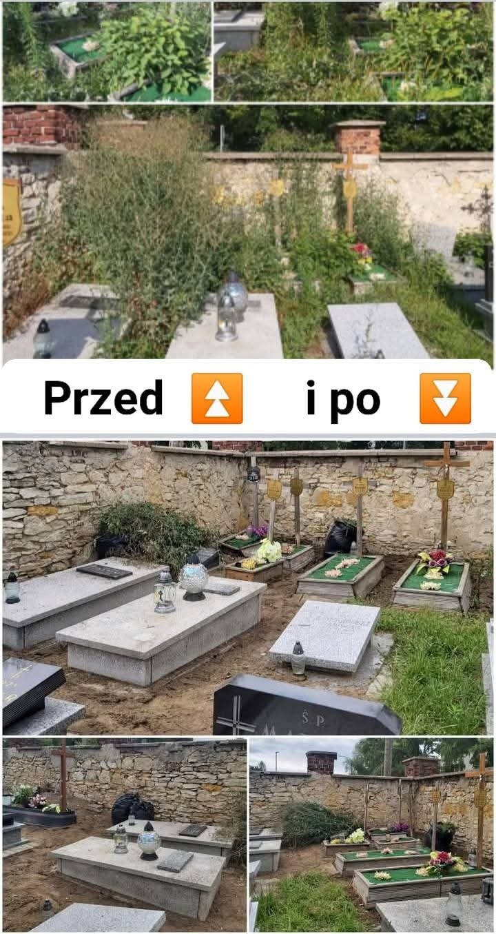 9QjDyZQ2mBOfb4dy.jpg