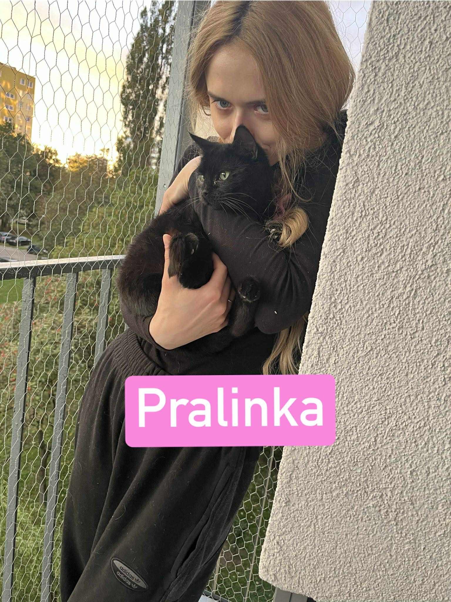 lFRn4Q40AkrPrm5o.jpg