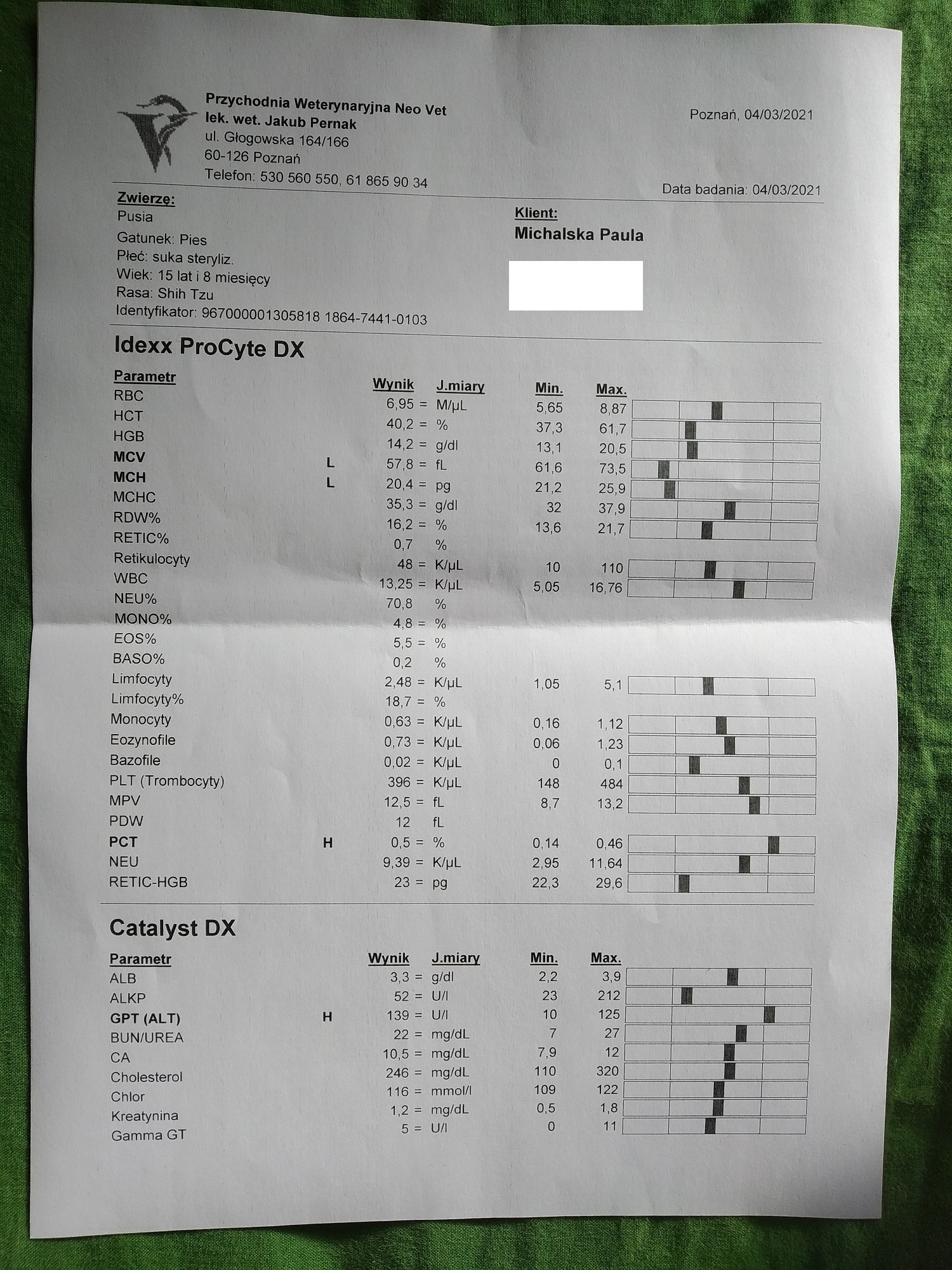 z3f34319d5b101a2.jpeg