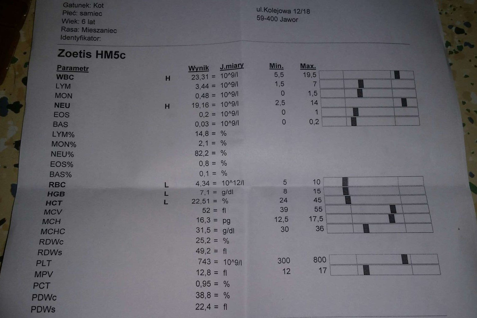 p9a925e5ac98ea81.jpeg