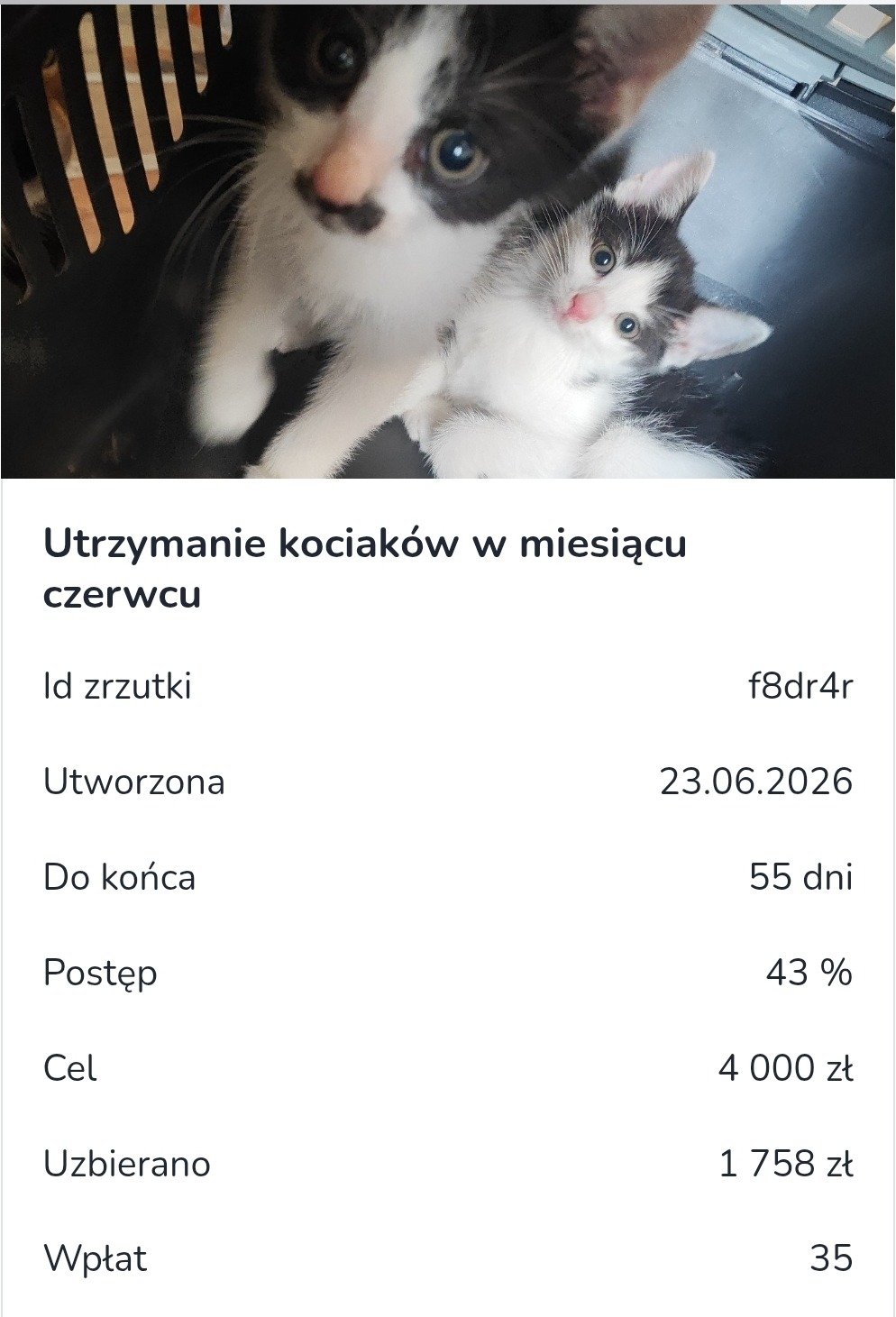 PIaOHVkjqiLHvij5.jpg