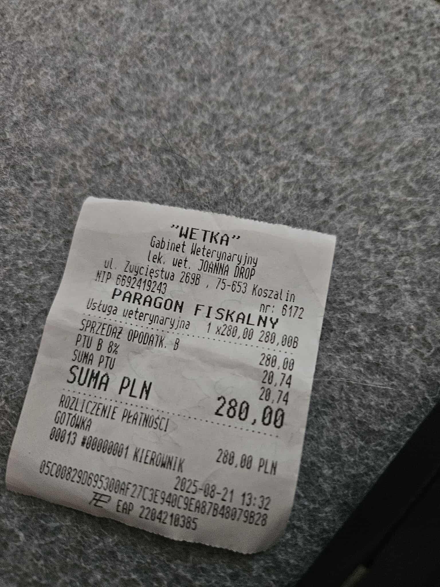 Qy08TpRqV92nFwZ4.jpg