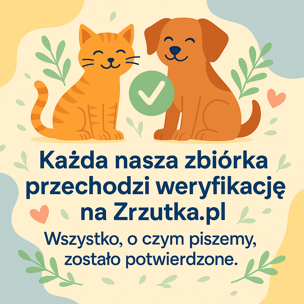 7Ey9aq4JLUkizJF1.png