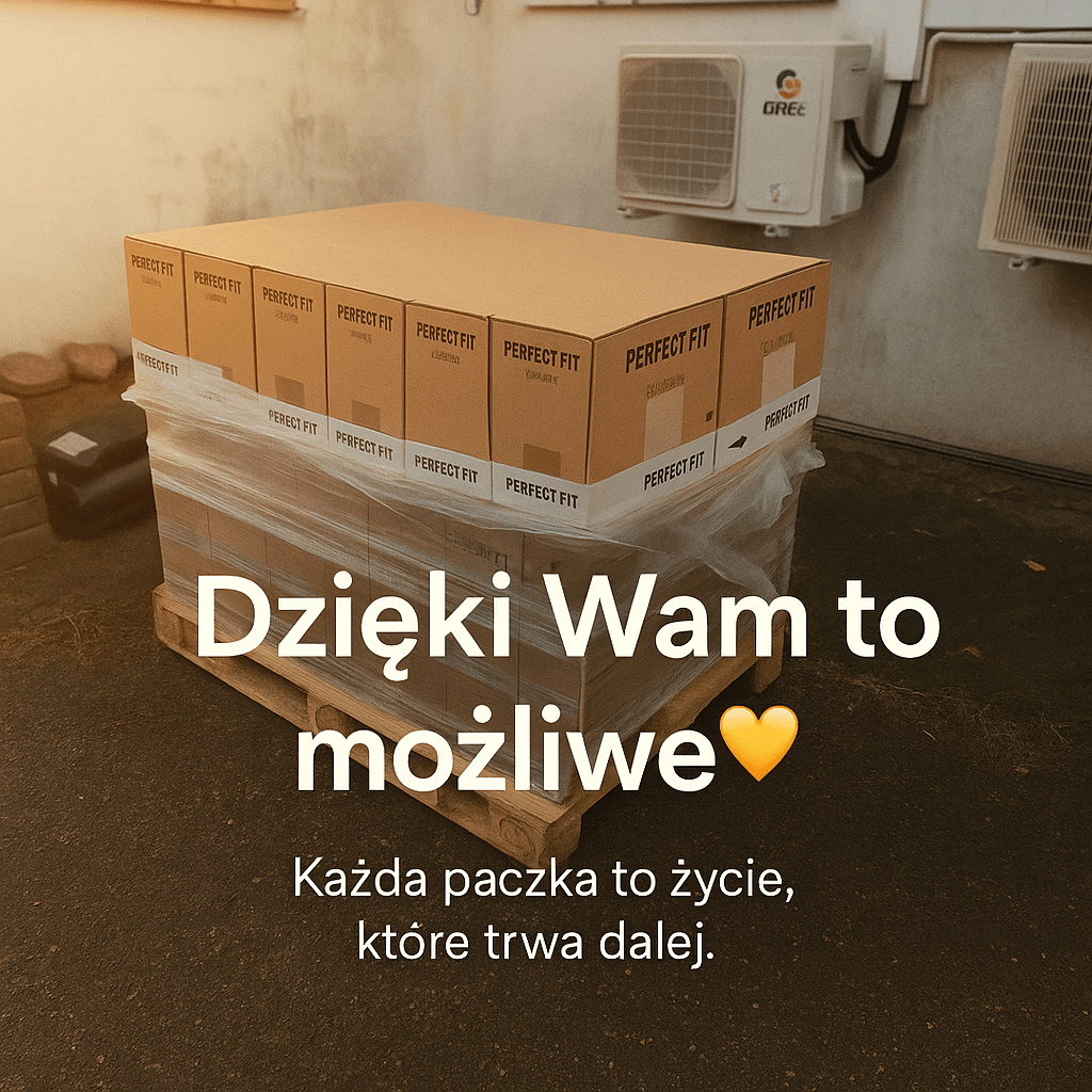 cVth8X4kzkcESig0.png