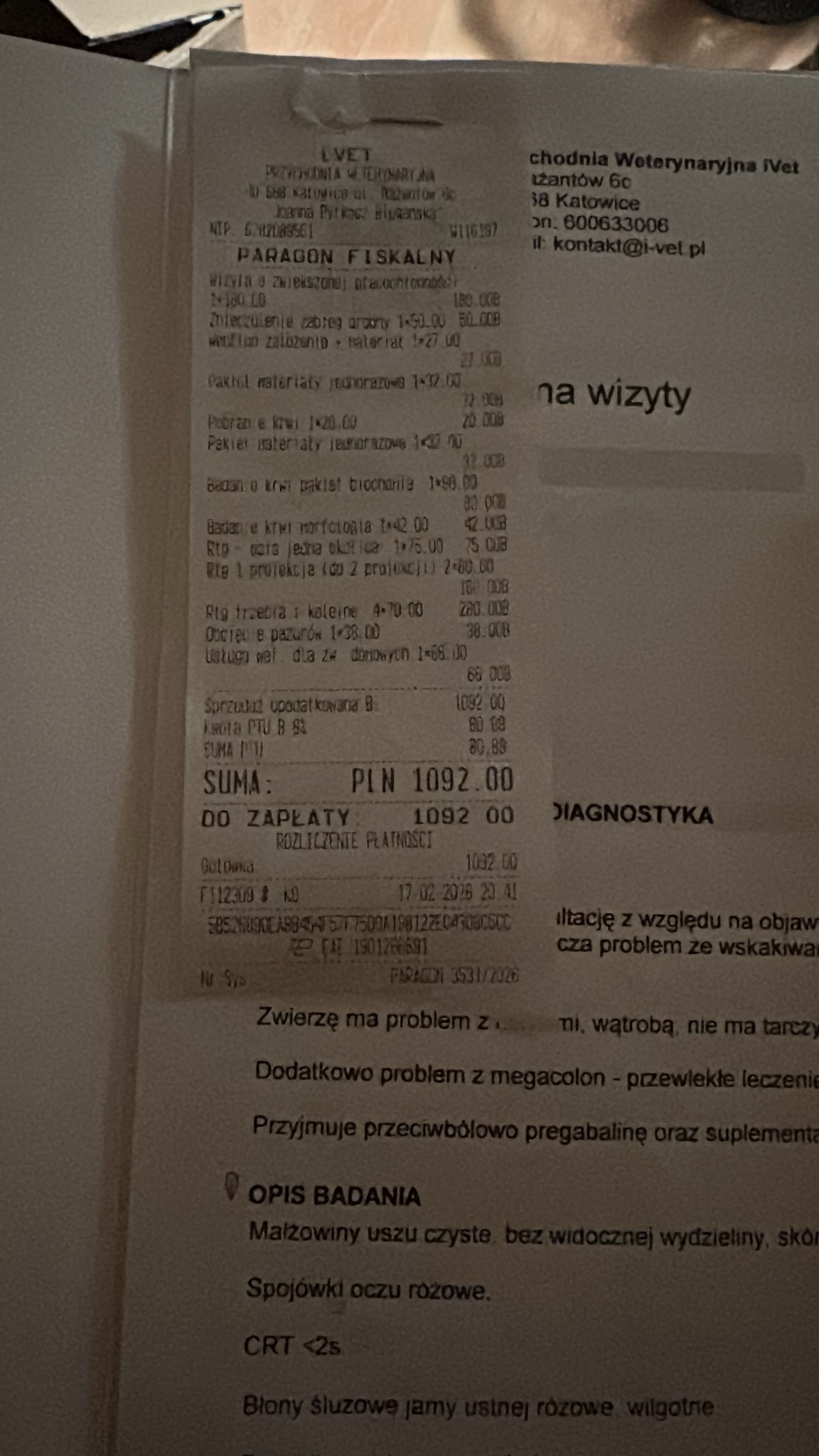 TrNUskcoCeiKcviN.jpg