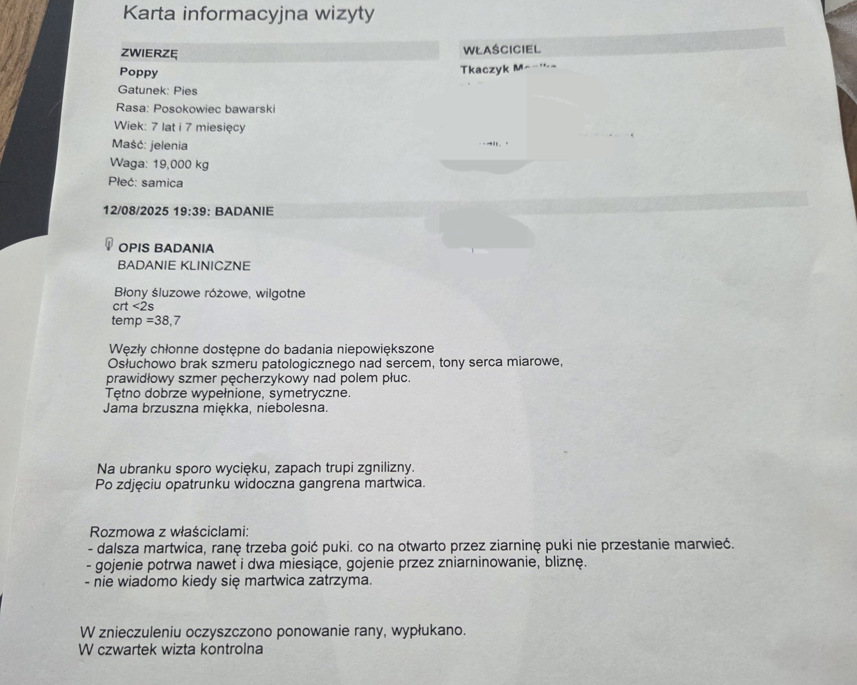 JOcLALMQjfmLwaz9.jpg